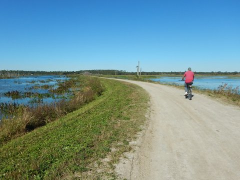 Orlando Wetlands