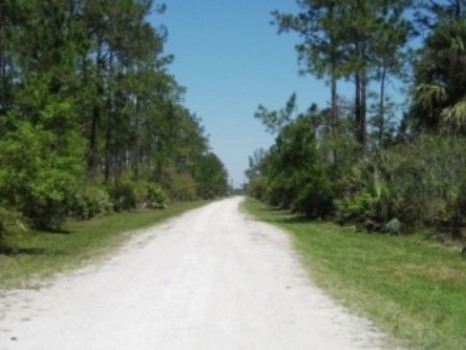 Seminole State Forest