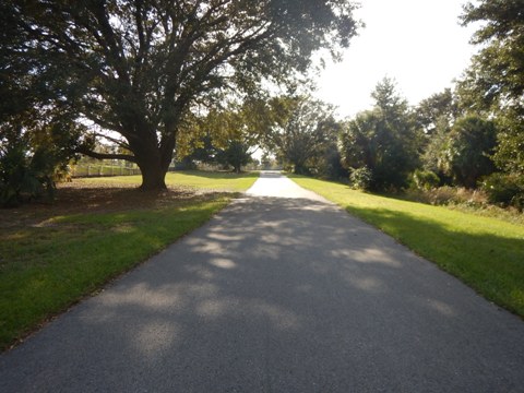 Neighborhood Lakes Scenic Trail, Orlando biking, Lake County