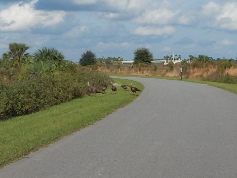 Neighborhood Lakes Scenic Trail, Orlando biking, Lake County