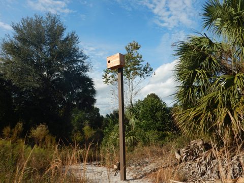 Neighborhood Lakes Scenic Trail, Orlando biking, Lake County