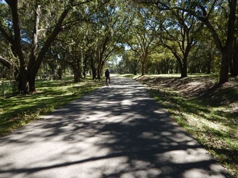 Florida biking, South Lake Trail