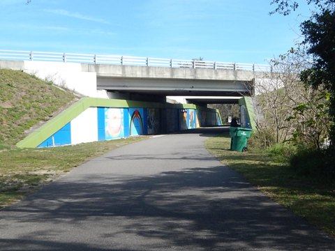 Florida biking, South Lake Trail