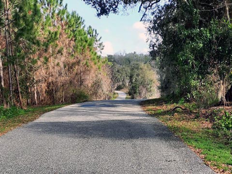 Florida biking, South Lake Trail