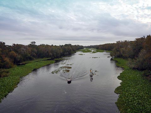 Florida biking, Orlando, Lake County, Wekiva Trail