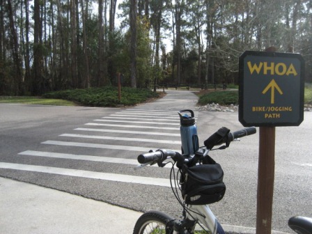 Orlando biking, Florida biking, Disney World, Wilderness Lodge, Ft. Wilderness, FL bike trail