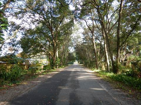 West Orange Trail, Winter Garden, Oakland, Apopka, Florida bike trail