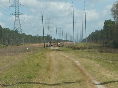 Avalon Park Bike Paths, Bike Orlando, Orange County