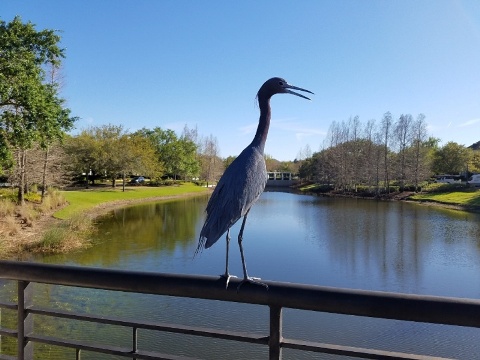 Baldwin Park, Orlando biking