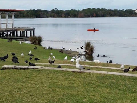 Baldwin Park, Orlando biking