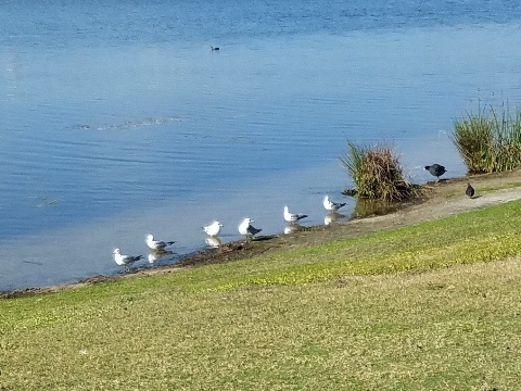 Baldwin Park, Orlando biking