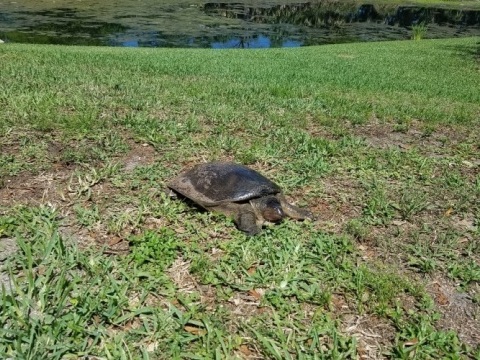 Baldwin Park, Orlando biking