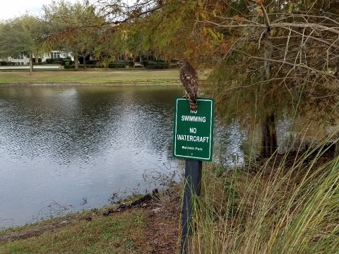 Baldwin Park, Orlando biking