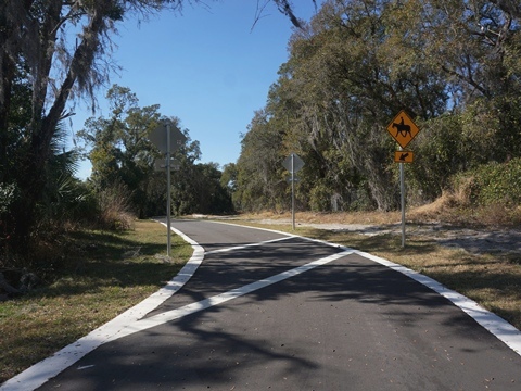 Florida biking, Orlando Orange County, Lake Apopka Connector Trail
