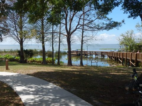 Florida biking, Orlando Orange County, Lake Apopka Connector Trail