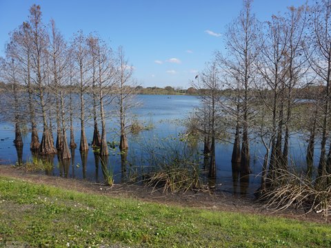 Lake Fran Loop Trail at Eagle Nest Park, Orlando