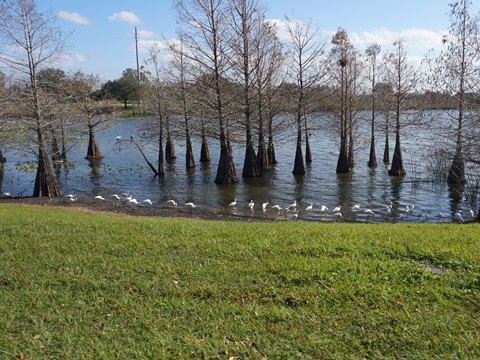 Lake Fran Loop Trail at Eagle Nest Park, Orlando