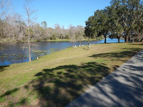 Little Econ Greenway, Blanchard Park - Orange County, Orlando, Central Florida biking, bike trail