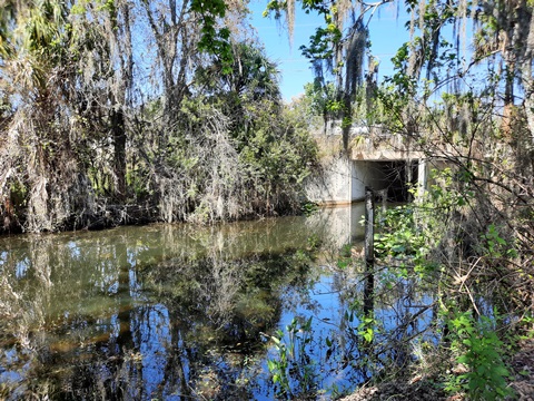 Maitland, Florida Biking, Orange County, bicycling, biking