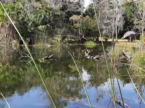 Winter Park, Mead Garden