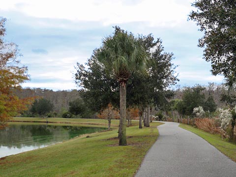 Lake Nona, Orlando, Orange Couny, FL bike trail