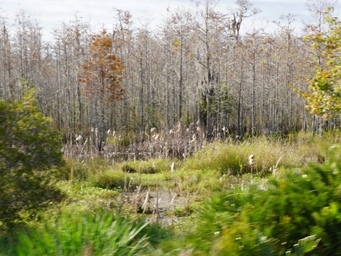 Lake Nona, Orlando, Orange Couny, FL bike trail