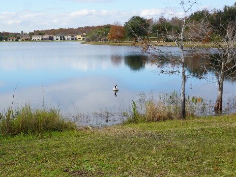 Lake Nona, Orlando, Orange Couny, FL bike trail