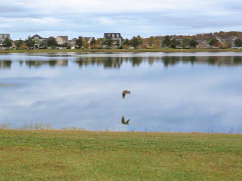 Lake Nona, Orlando, Orange Couny, FL bike trail