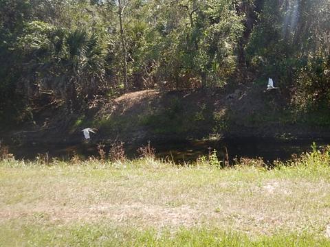 Orlando, Florida, biking, Orange County, Shingle Creek