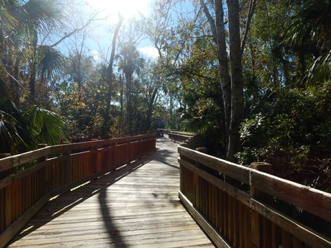 Celebration, Disney World, Osceola Couny, FL bike trail