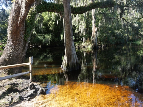 Kissimmee, Florida, biking, Osceola County, Shingle Creek