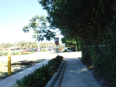 Biking on Casselberry Greenway Trail, Seminole County, Florida bikiing