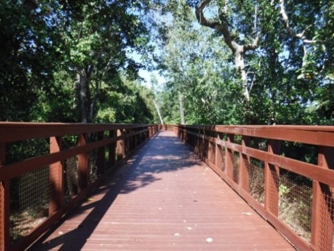 Biking on Casselberry Greenway Trail, Seminole County, Florida bikiing