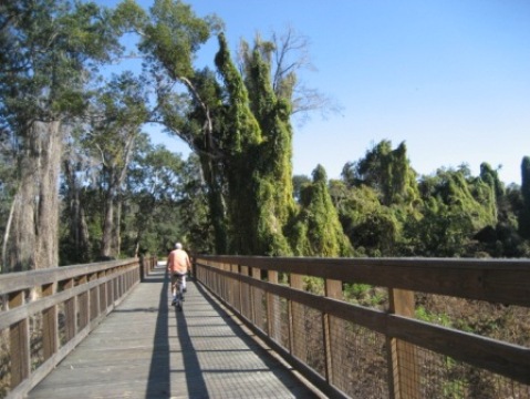 Biking on Casselberry Greenway Trail, Seminole County, Florida bikiing