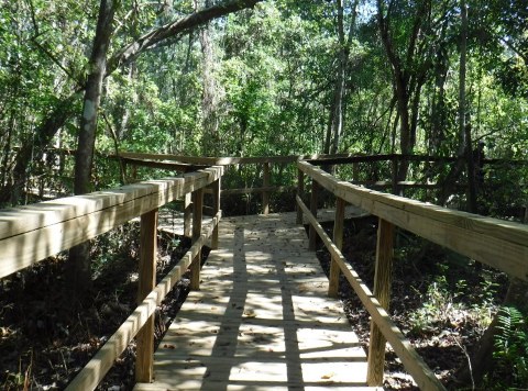 Kewannee Trail, Casselberry, Seminole County, biking, paved bike trail, paved trail