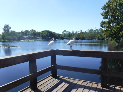 Kewannee Trail, Casselberry, Seminole County, biking, paved bike trail, paved trail