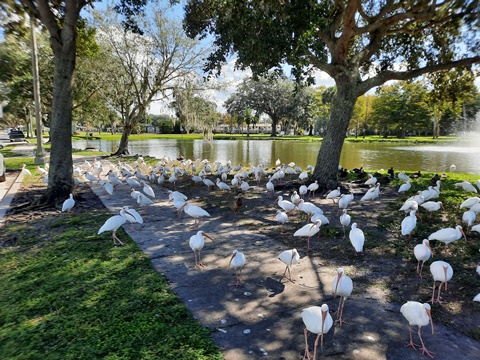 Sanford, Florida, biking, Seminole County, Lake Monroe, Sanford Riverwalk