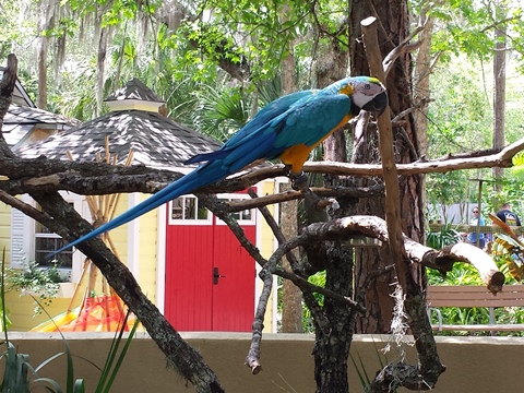 Sanford, Florida, biking, Seminole County, Lake Monroe, Sanford Riverwalk