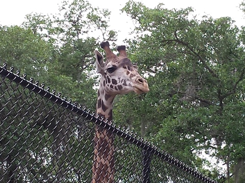 Sanford, Florida, biking, Seminole County, Lake Monroe, Sanford Riverwalk