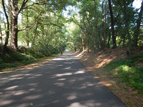 Seminole-Wekiva Trail, SR 434 to Lake Mary, Longwood, Seminole County, Florida biking