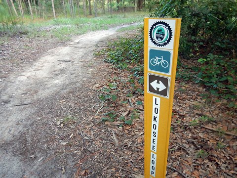 Seminole-Wekiva Trail, Markham Trailhead, Seminole County, Florida biking