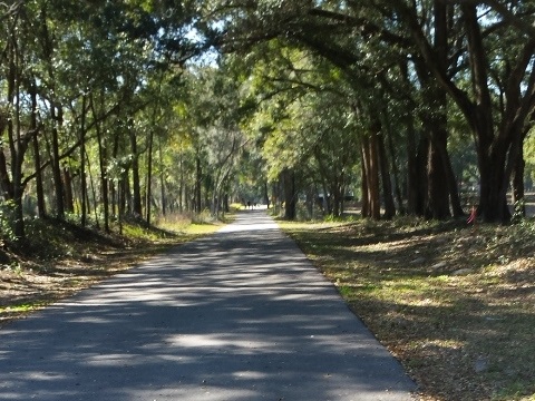 Seminole-Wekiva Trail, Markham Trailhead to Wekiva River, Seminole County, Florida biking