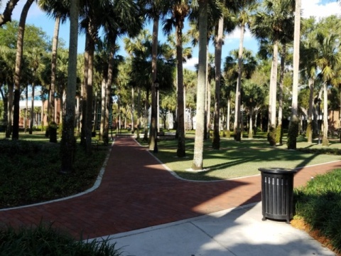 Stetson University