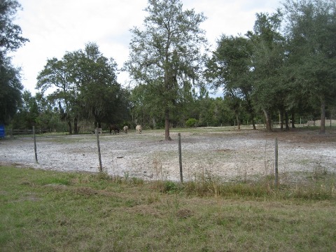 Florida biking, East Central Rail Trail, Enterprise, Osteen