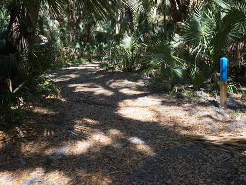 Spring-to-Spring Trail, lake monroe park, bike Volusia County